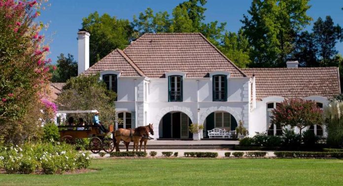 Seis bodegas chilenas triunfan en el ranking The World’s 50 Best Vineyards 2025 Awards