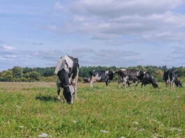 Seminario internacional destacó estrategias de mitigación ambiental en sistemas lecheros basados en pastoreo