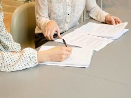 Softys pierde batalla ante empresa de productos para mascotas “Nobleza” se impone a “Noble” y registra su marca en Chile