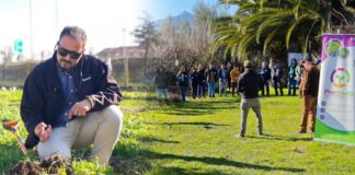 Suelos vivos, bajos costos: Cómo se impulsa la transición hacia la biodiversidad y la salud de los suelos en el Agro de la Región de Valparaíso