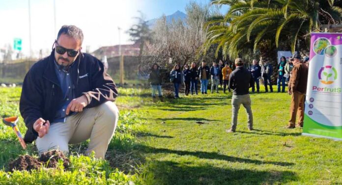Suelos vivos, bajos costos: Cómo se impulsa la transición hacia la biodiversidad y la salud de los suelos en el Agro de la Región de Valparaíso