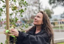 Suzanne Wylie, entre las 100 Mujeres Líderes 2025: la directora ejecutiva de Reforestemos que convirtió la restauración ecológica en una fuerza país Suzanne Wylie, entre las 100 Mujeres Líderes 2025 la directora ejecutiva de Reforestemos que convirtió la restauración ecológica en una fuerza país