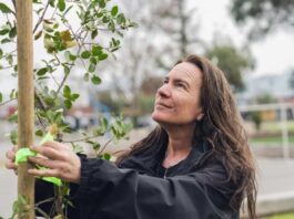 Suzanne Wylie, entre las 100 Mujeres Líderes 2025: la directora ejecutiva de Reforestemos que convirtió la restauración ecológica en una fuerza país Suzanne Wylie, entre las 100 Mujeres Líderes 2025 la directora ejecutiva de Reforestemos que convirtió la restauración ecológica en una fuerza país