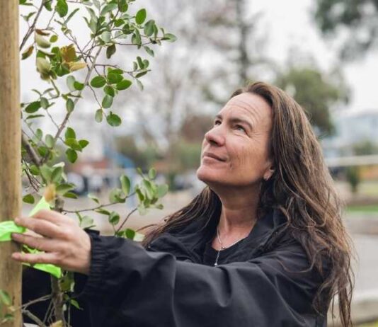 Suzanne Wylie, entre las 100 Mujeres Líderes 2025: la directora ejecutiva de Reforestemos que convirtió la restauración ecológica en una fuerza país Suzanne Wylie, entre las 100 Mujeres Líderes 2025 la directora ejecutiva de Reforestemos que convirtió la restauración ecológica en una fuerza país