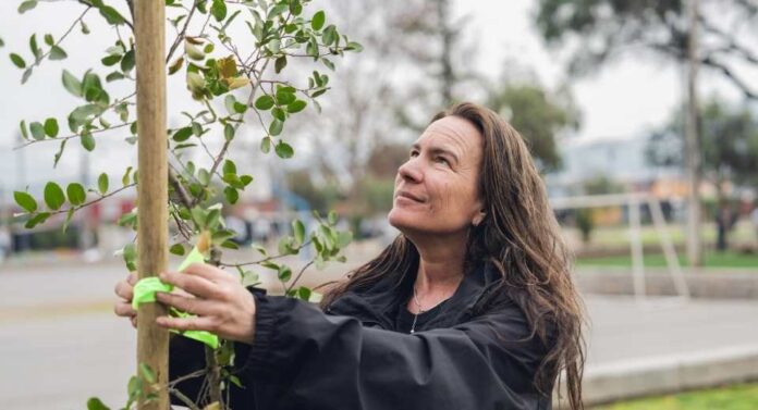Suzanne Wylie, entre las 100 Mujeres Líderes 2025 la directora ejecutiva de Reforestemos que convirtió la restauración ecológica en una fuerza país Suzanne Wylie, entre las 100 Mujeres Líderes 2025 la directora ejecutiva de Reforestemos que convirtió la restauración ecológica en una fuerza país