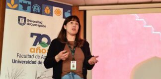 Temporada de Exportaciones 2025-2026 inició con jornada de actualización normativa para establecimientos de Ñuble Temporada de Exportaciones 2025-2026 inició con jornada de actualización normativa para establecimientos de Ñuble