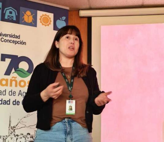 Temporada de Exportaciones 2025-2026 inició con jornada de actualización normativa para establecimientos de Ñuble Temporada de Exportaciones 2025-2026 inició con jornada de actualización normativa para establecimientos de Ñuble