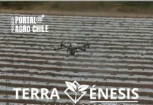 Transformación Agrícola en México: Plantación de Pimentón Orgánico con Destino a California Entra en Fase Clave con Innovación en Nanopartículas