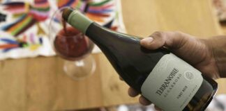 VIÑA TERRANOBLE ES RECONOCIDA EN LOS DECANTER WORLD WINE AWARDS 2025 Decanter lo premió compromiso con la sostenibilidad social y su forma de trabajar con las comunidades