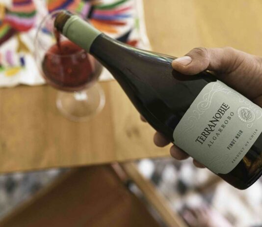 VIÑA TERRANOBLE ES RECONOCIDA EN LOS DECANTER WORLD WINE AWARDS 2025 Decanter lo premió compromiso con la sostenibilidad social y su forma de trabajar con las comunidades