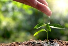 Valmet obtiene medalla de oro en evaluación global de sostenibilidad de EcoVadis