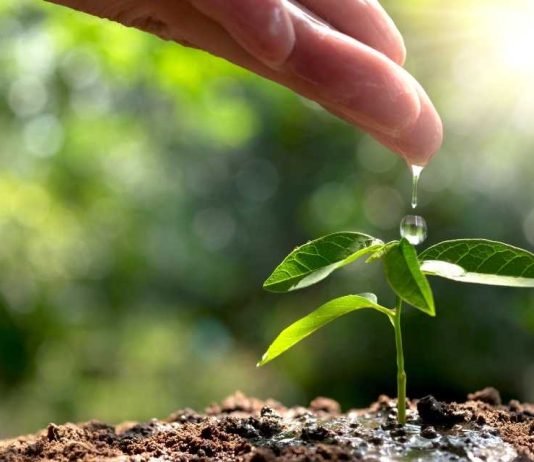 Valmet obtiene medalla de oro en evaluación global de sostenibilidad de EcoVadis