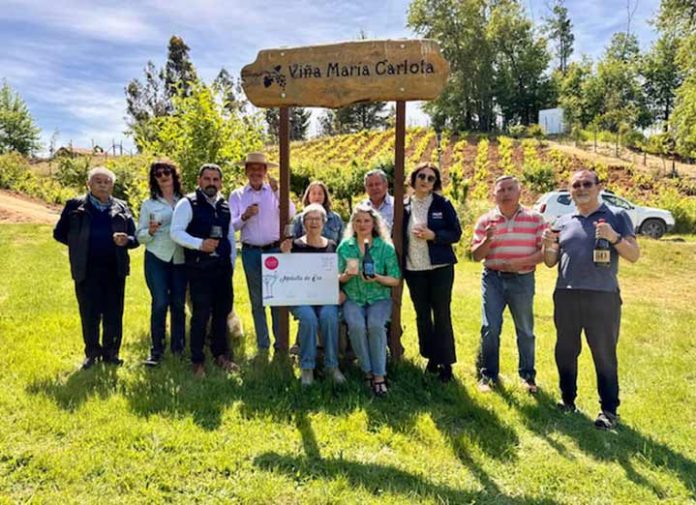 Viña María Carlota, Viña familiar de Florida recibe medalla de oro por su vino cinsault y se prepara para recibir turistas 
