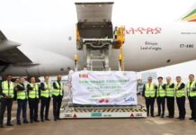 Cerezas chilenas llegan a China en el primer chárter de temporada