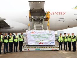 Cerezas chilenas llegan a China en el primer chárter de temporada Cerezas chilenas llegan a China en el primer chárter de temporada