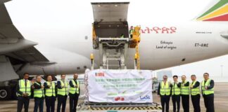 Cerezas chilenas llegan a China en el primer chárter de temporada