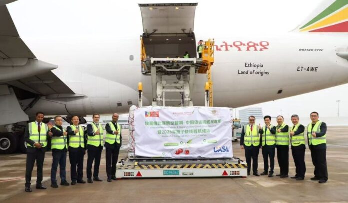 Cerezas chilenas llegan a China en el primer chárter de temporada