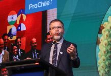 Director General de ProChile en Exponut 2025: «Chile se consolida como uno de los principales proveedores de nueces a nivel mundial» Director General de ProChile en Exponut 2025: "Chile se consolida como uno de los principales proveedores de nueces a nivel mundial"
