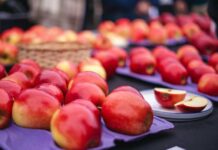 UTalca y FIA se unen para buscar comercialización de nuevos híbridos de manzanos UTalca y FIA se unen para buscar comercialización de nuevos híbridos de manzanos