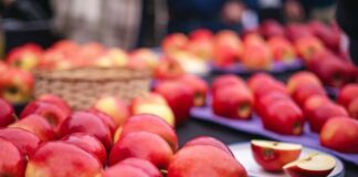 UTalca y FIA se unen para buscar comercialización de nuevos híbridos de manzanos UTalca y FIA se unen para buscar comercialización de nuevos híbridos de manzanos