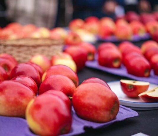 UTalca y FIA se unen para buscar comercialización de nuevos híbridos de manzanos UTalca y FIA se unen para buscar comercialización de nuevos híbridos de manzanos