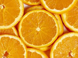 SENASA verificó que la fruta haya recibido tratamiento contra la Mosca de la fruta, para garantizar estándares internacionales de sanidad. El SENASA certificó en Entre Ríos el primer envío con destino a Ecuador de naranjas frescas argentinas tratadas oficialmente contra la Mosca de la fruta (SENASA) El Servicio Nacional de Sanidad y Calidad Agroalimentaria (SENASA) certificó en Entre Ríos el primer envío con destino a Ecuador de naranjas frescas argentinas tratadas oficialmente contra la Mosca de la fruta (Ceratitis capitata), marcando un hito histórico para la región citrícola de Concordia y la Provincia. El organismo descentralizado de la Secretaría de Agricultura, Ganadería y Pesca de la Nación (SAGPyA) es el encargado de garantizar la sanidad de los cítricos durante toda la cadena productiva y certifica que se cumplan con las condiciones fitosanitarias establecidas por el país comprador para los productos vegetales argentinos. El envío de 20 pallets con 1.592 cajas y un peso total de 23.880 kilogramos, se realizó cumpliendo el Plan de Trabajo Operativo (PTO) firmado entre SENASA y Agrocalidad de Ecuador, que establece los requisitos fitosanitarios para la exportación de cítricos a ese mercado. Entre ellos se incluyen el registro oficial de productores y empacadoras, la aplicación de buenas prácticas agrícolas (BPA), el manejo integrado de plagas, procesos de selección y lavado, y el tratamiento cuarentenario de frío obligatorio (2,2 °C por 21 días). La operación finalizó con inspección oficial, muestreo de frutos y la emisión del Certificado Fitosanitario de Exportación con la declaración adicional acordada con Ecuador (SENASA)La operación finalizó con inspección oficial, muestreo de frutos y la emisión del Certificado Fitosanitario de Exportación con la declaración adicional acordada con Ecuador (SENASA). La operación finalizó con inspección oficial, muestreo de frutos y la emisión del Certificado Fitosanitario de Exportación con la declaración adicional acordada con Ecuador.A fines del mes de octubre de 2024, Ecuador y Argentina firmaron el plan de trabajo donde se prevé los requisitos fitosanitarios para el ingreso de fruta fresca cítrica