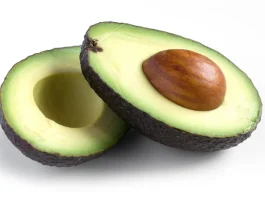 Europa se consolida como mercado clave para la palta: Alta competencia y consumo al alza