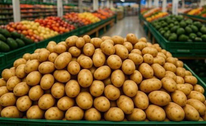 primer encuentro anual del sector de la papa fresca