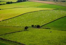 Comienza nueva modalidad para tramitar solicitudes de subdivisión de predios rústicos en Biobío Comienza nueva modalidad para tramitar solicitudes de subdivisión de predios rústicos en Biobío