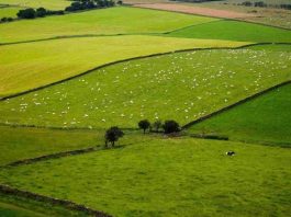 Comienza nueva modalidad para tramitar solicitudes de subdivisión de predios rústicos en Biobío Comienza nueva modalidad para tramitar solicitudes de subdivisión de predios rústicos en Biobío