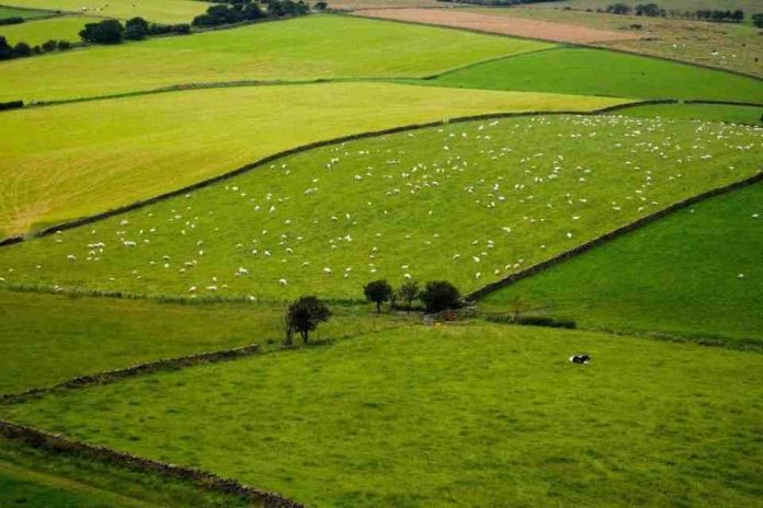 solicitudes de subdivisión de predios rústicos en Biobío Comienza nueva modalidad para tramitar solicitudes de subdivisión de predios rústicos en Biobío