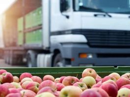 India confía en el sistema chileno y autoriza tratamiento de frío en tránsito para fruta nacional