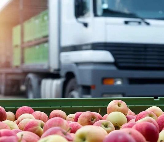 India confía en el sistema chileno y autoriza tratamiento de frío en tránsito para fruta nacional India confía en el sistema chileno y autoriza tratamiento de frío en tránsito para fruta nacional