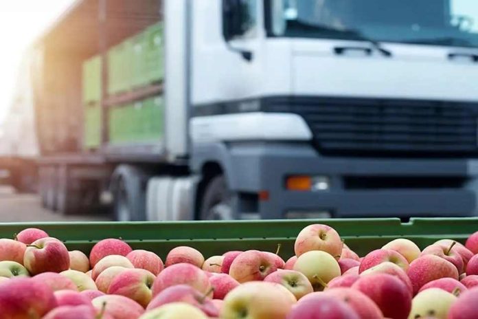 India confía en el sistema chileno y autoriza tratamiento de frío en tránsito para fruta nacional India confía en el sistema chileno y autoriza tratamiento de frío en tránsito para fruta nacional