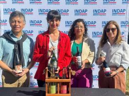 12° Concurso del Vino del Valle del Itata suma Feria este 2025 y se consolida para posicionar la producción vitivinícola de Ñuble.