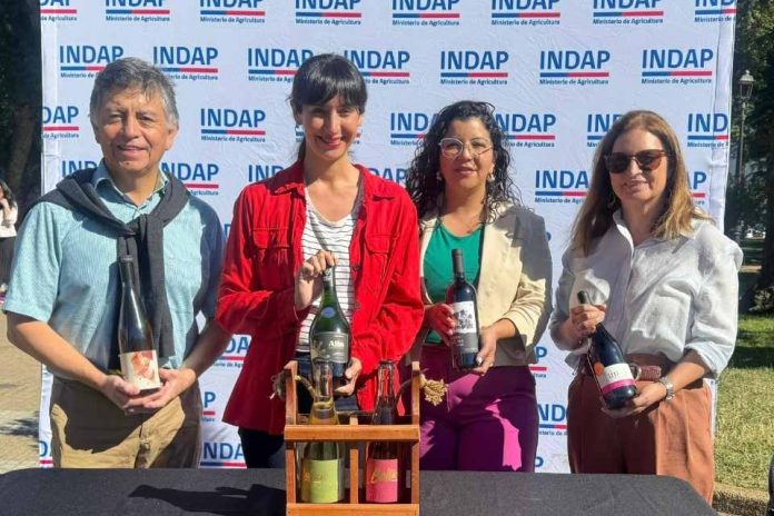 12° Concurso del Vino del Valle del Itata suma Feria este 2025 y se consolida para posicionar la producción vitivinícola de Ñuble.