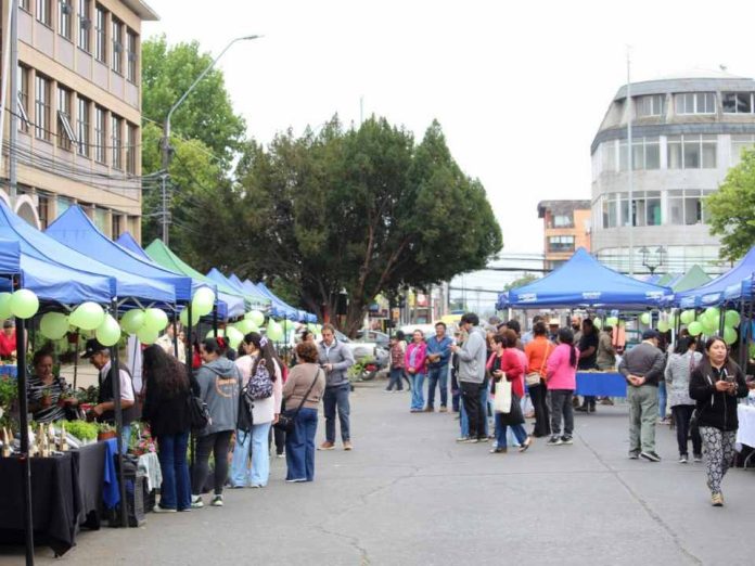 47 encuentros agrícolas se desarrollaron en primer año de la “Feria Campesina Biobío” en Los Ángeles