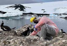 A Convivir se Aprende concluyó cuatro años de trabajo fortaleciendo la convivencia educativa en La Araucanía A Convivir se Aprende concluyó cuatro años de trabajo fortaleciendo la convivencia educativa en La Araucanía