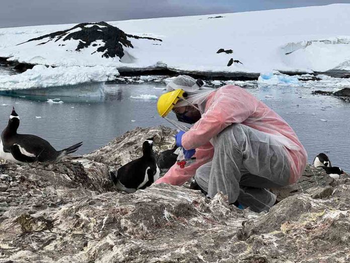 A Convivir se Aprende concluyó cuatro años de trabajo fortaleciendo la convivencia educativa en La Araucanía