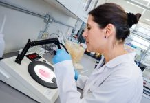 Académica UOH es reconocida con el premio “Mujer Agroinnovadora 2025” de la Región de O’Higgins