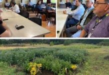 Actores públicos, privados y académicos de Ñuble definen prioridades y orientan inversiones con el apoyo de FIA