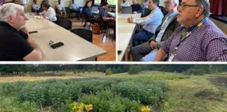 Actores públicos, privados y académicos de Ñuble definen prioridades y orientan inversiones con el apoyo de FIA