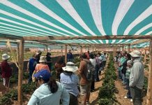 Agricultores familiares visitan primeros faros agroecológicos en la región de Atacama Agricultores familiares visitan primeros faros agroecológicos en la región de Atacama