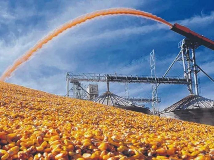 Argentina | El agro argentino avanza con buenas perspectivas