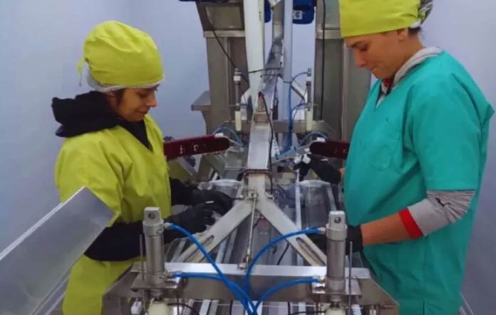 Argentina | Innovación patagónica: biocontroladores de INTA