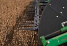 Argentina recorta aranceles a las exportaciones de productos agrícolas Argentina recorta aranceles a las exportaciones de productos agrícolas