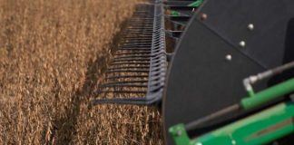 Argentina recorta aranceles a las exportaciones de productos agrícolas