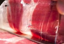 Argentina suspendió las importaciones de chorizos y un jamón de España por una enfermedad exótica Argentina suspendió las importaciones de chorizos y un jamón de España por una enfermedad exótica