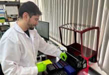 Bioinformática, la clave invisible para entender y mejorar los frutales