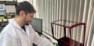 Bioinformática, la clave invisible para entender y mejorar los frutales